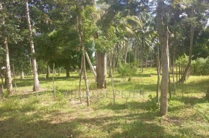 1/4 Acre Prime Land in Kikambala