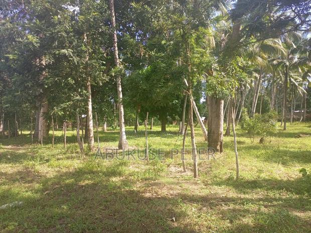 1/4 Acre Prime Land in Kikambala