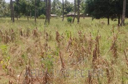 Plots for Sale Malindi