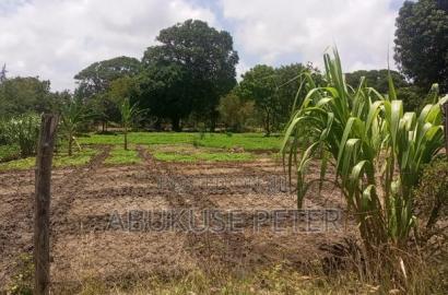 1/2 Acre Kikambala