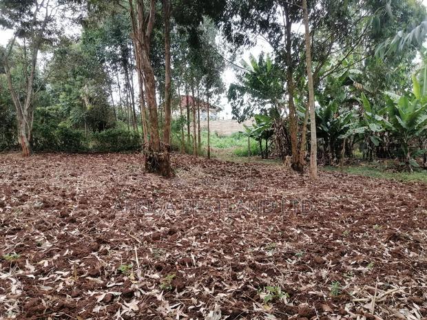 50x100 Residential Plot for Sale In