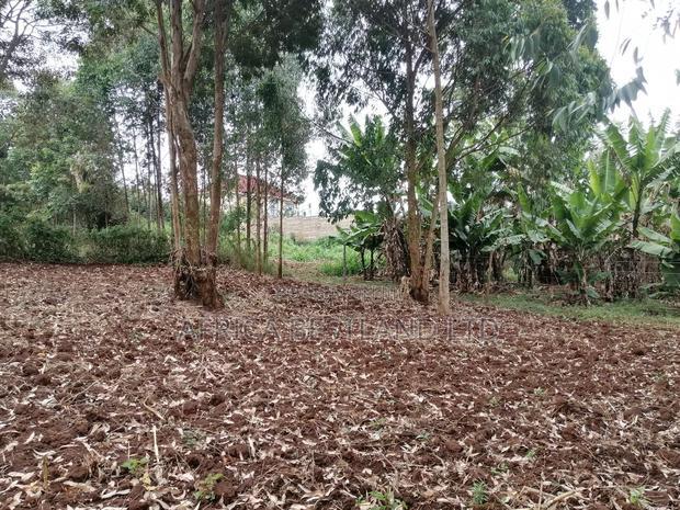 50x100 Residential Plot for Sale In