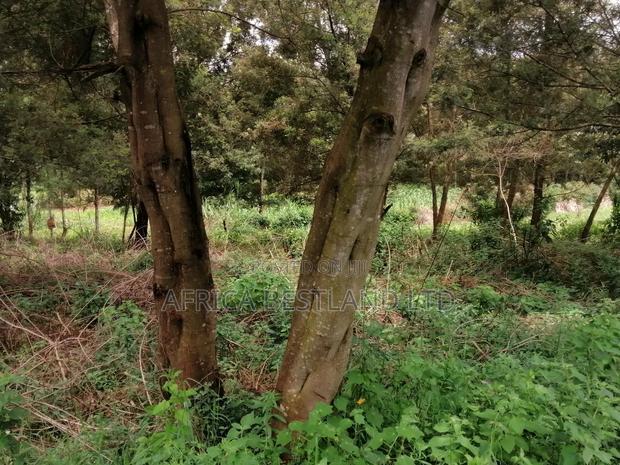 100x100 Residential Plot for Sale in Kikuyu G3