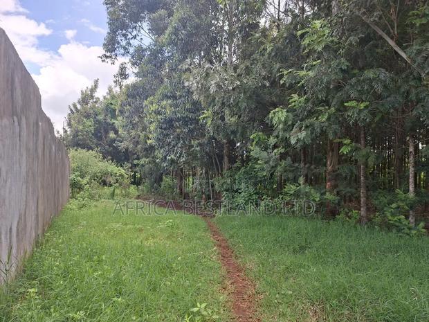 50x100 Available Plot for Sale in Kikuyu Gikambura