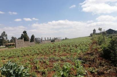 1 Acre Piece of Land for Sale in Limuru Boroti