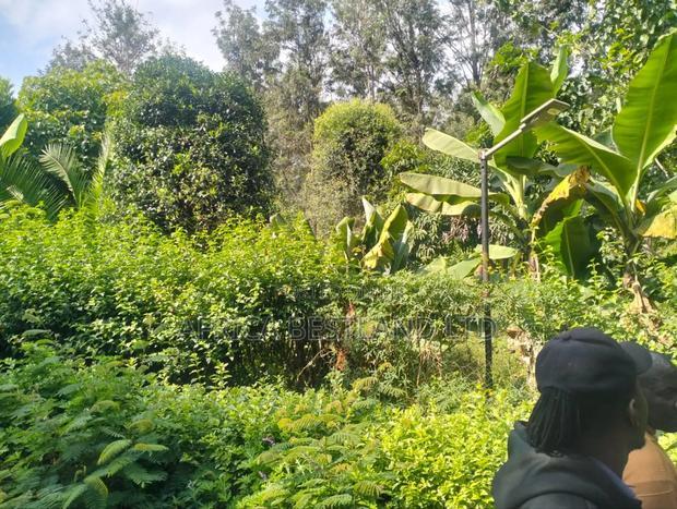 1/2 + Bedrooms Acre Land for in Ngong Kibiko