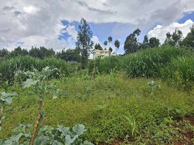 50x100 Available Plot for Sale in Gikambura
