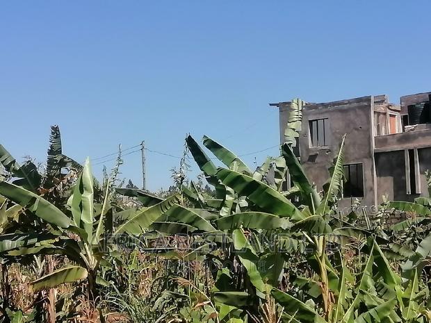 Prime 50x100 Residential Plot for Sale in Kikuyu Rosegate