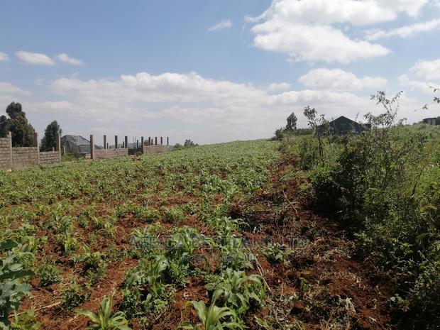 1 Acre Piece of Land for Sale in Limuru Boroti