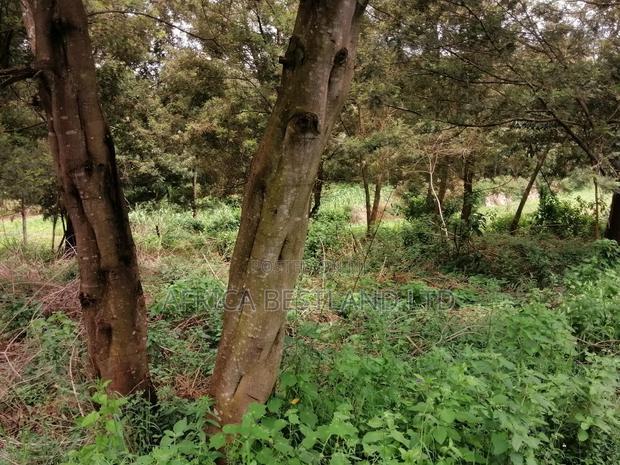 100x100 Residential Plot for Sale in Kikuyu G3
