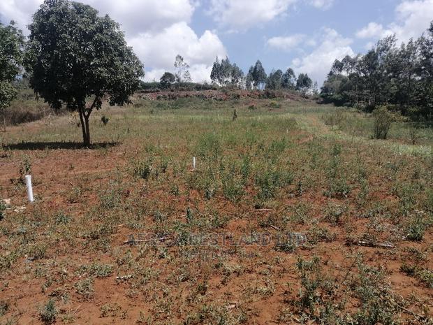 50x100 Prime Plot