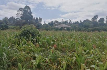 1/2 an Acre Residential Land for Sale