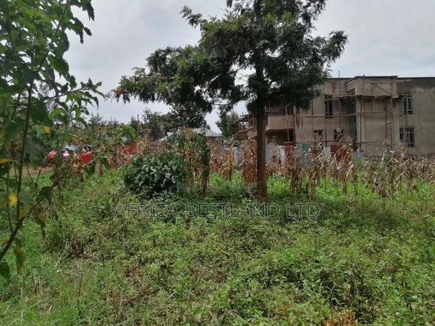 100x100 Residential Plot for Sale in Kikuyu Gikambura