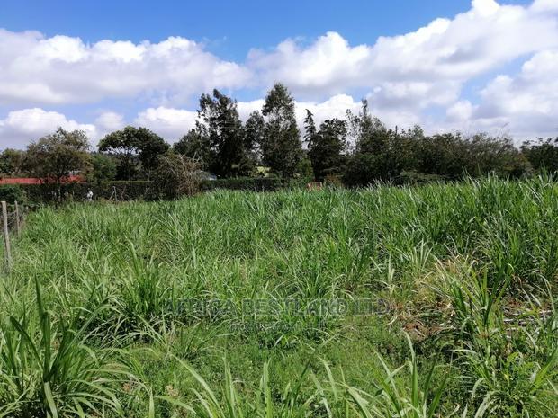 Residential 50x100 Ft Plot for Sale in Thigio Nguirubi
