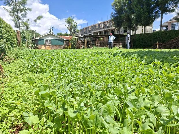 50x100 Available Plot for Sale in Gathiga Kabete