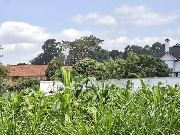 1/4 Acre Available Residential Land in Kitisuru
