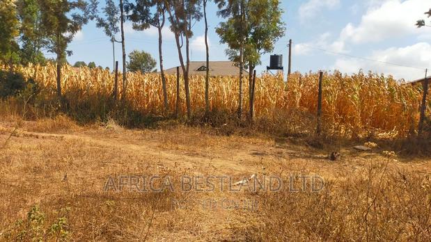 50x100 Plot Kikuyu Kamangu