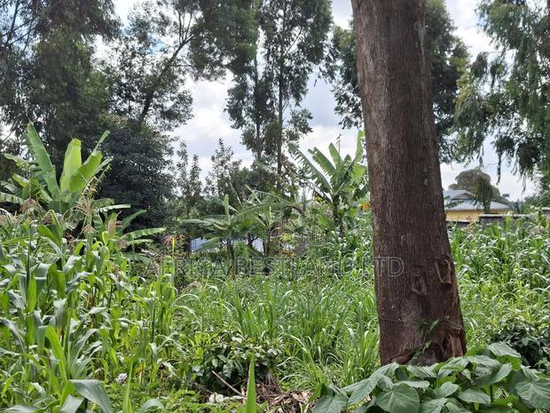 100by100 Available Plot for Sale in Kabete Gathiga