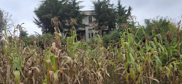 100x100 Plot for Sale in Kikuyu Gikambura