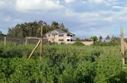 50x100 0.05ha Prime Residential Plot for Sale in Kamangu