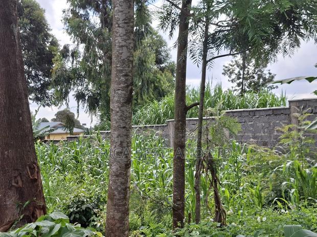 100by100 Available Plot for Sale in Kabete Gathiga