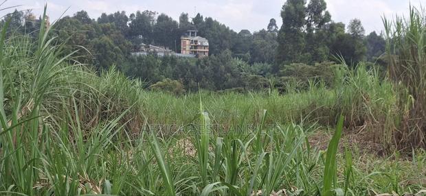 1/2 Acre Available Land for Sale Kabete Gathiga