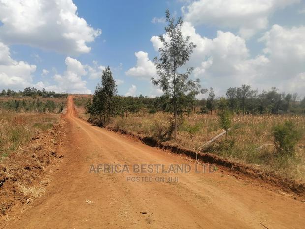 50x100 Prime Plot for Sale in Nachu