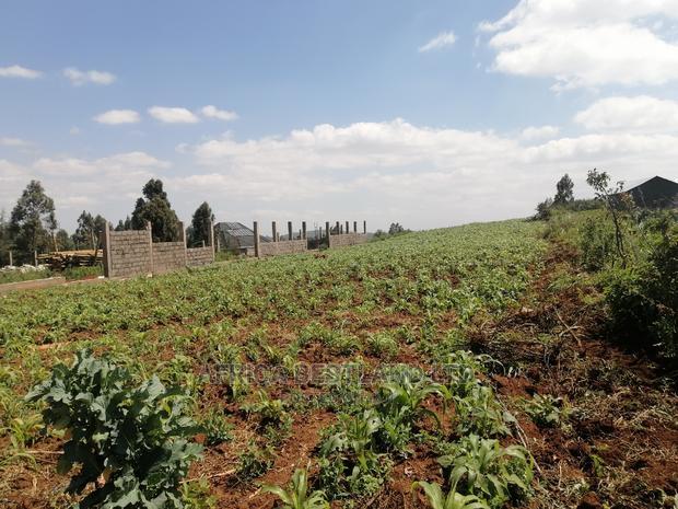 1 Acre Piece of Land for Sale in Limuru Boroti