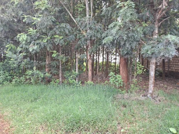 50x100 Available Plot for Sale in Kikuyu Gikambura