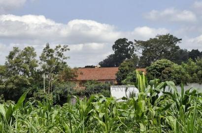1/4 Acre Available Residential Land in Kitisuru