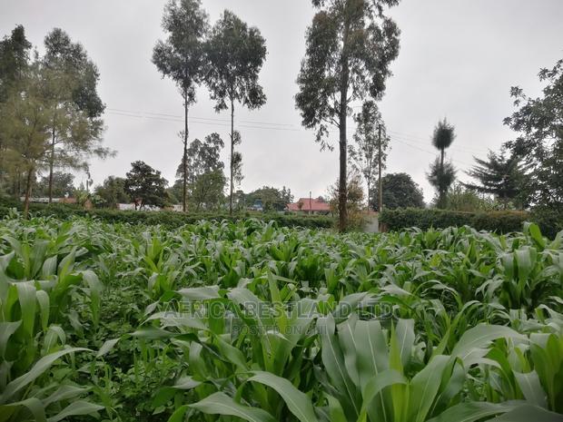 50x100 Ft Plot for Sale in Kikuyu Kamangu Thigio