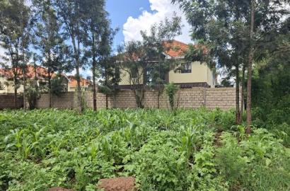 50x100 Available Plot for Sale in Kikuyu Gikambura