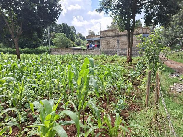 100by100 Plot for Sale in Gathiga Kiambu