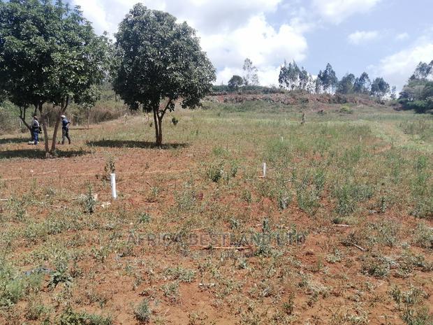 50x100 Prime Plot