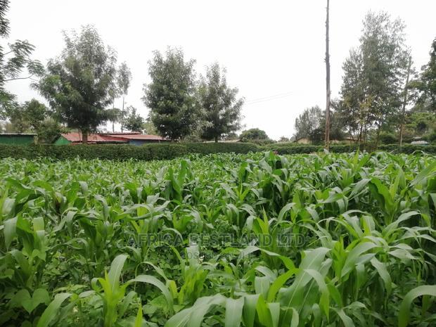 50x100 Ft Plot for Sale in Kikuyu Kamangu Thigio