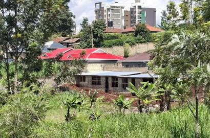 50x100 Plot for Sale in Kilawa Road