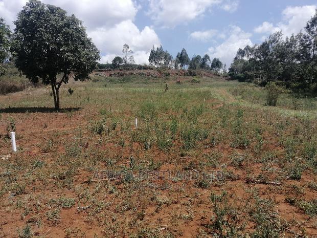 50x100 Prime Plot