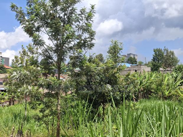 50x100 Plot for Sale in Kilawa Road