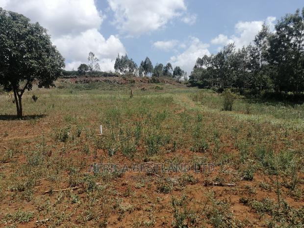 50x100 Prime Plot