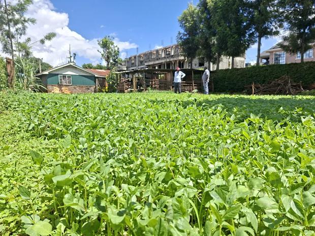 50x100 Available Plot for Sale in Gathiga Kabete