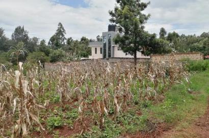 100x100 Residential Plot for Sale in Kikuyu Gikambura