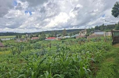 50x100 Available Plot for Sale in Gikambura