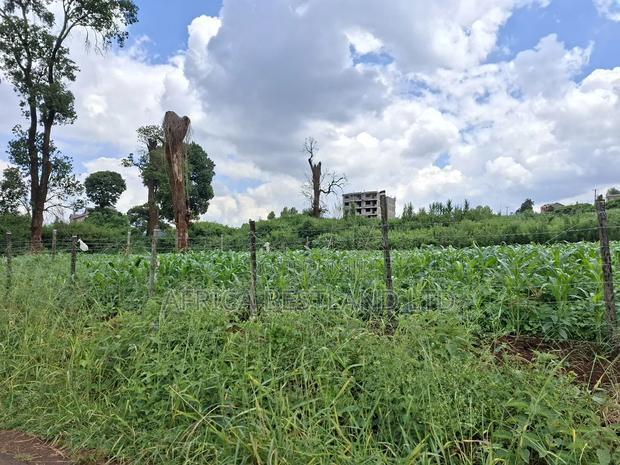50x100 Available Plot for Sale in Ruaka Muchatha