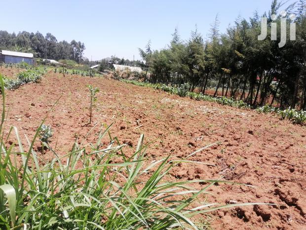 100x100 Ft Plot for Sale in Kamangu Kiambu County