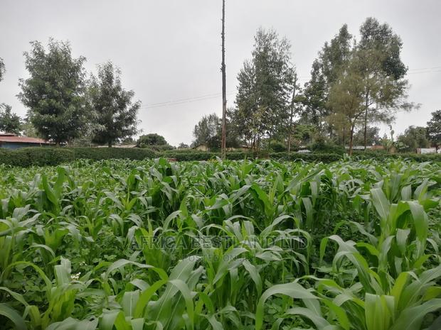 50x100 Ft Plot for Sale in Kikuyu Kamangu Thigio