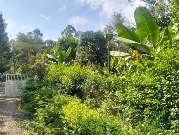 1/2 + Bedrooms Acre Land for in Ngong Kibiko