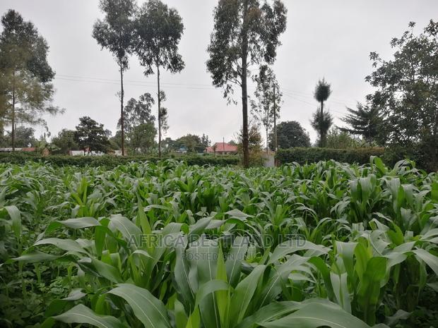 50x100 Ft Plot for Sale in Kikuyu Kamangu Thigio