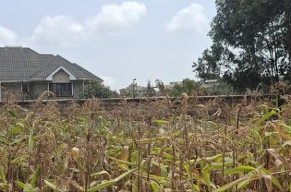 100x100 Available Plot for Sale in Kikuyu Lusigetti Kiambu County