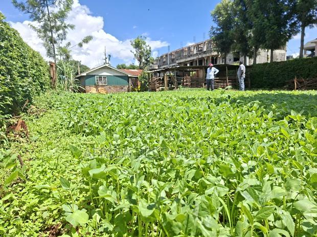 50x100 Available Plot for Sale in Gathiga Kabete