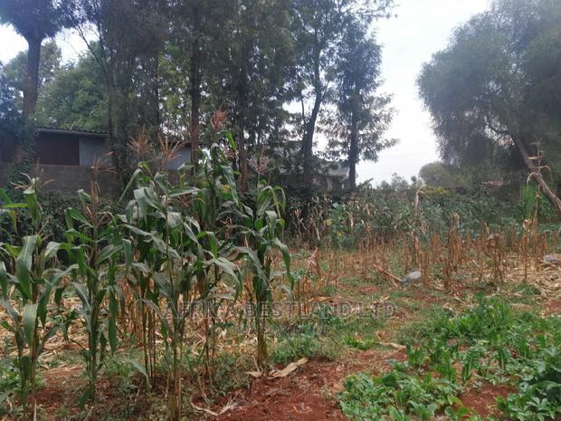 100x100 Ft Plot for Sale in Ondiri Kwa Jadi